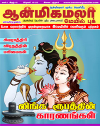 12.aanmeegamalar mail book-16-29-February-2017